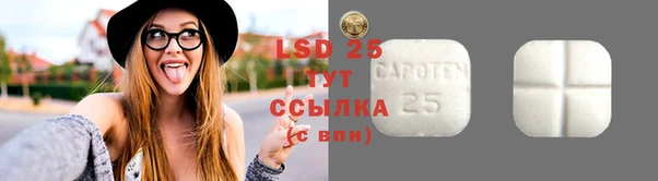 spice Корсаков