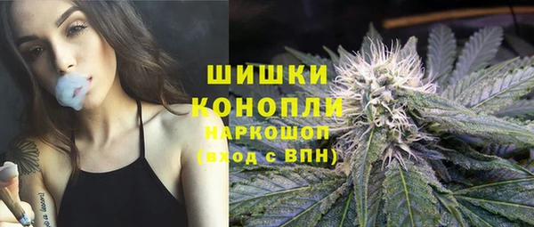 spice Корсаков