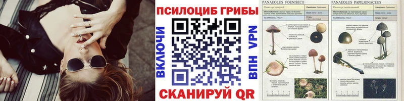 Купить закладки  Острогожск  Галлюциногенные грибы Psilocybine cubensis 